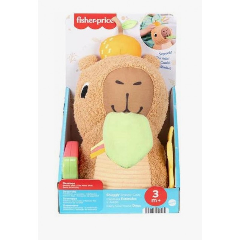Fisher Price Βρεφικό Παιχνίδι από Ύφασμα με Ήχους για 3+ Μηνών (Διάφορα Σχέδια) 1τμχ Mattel