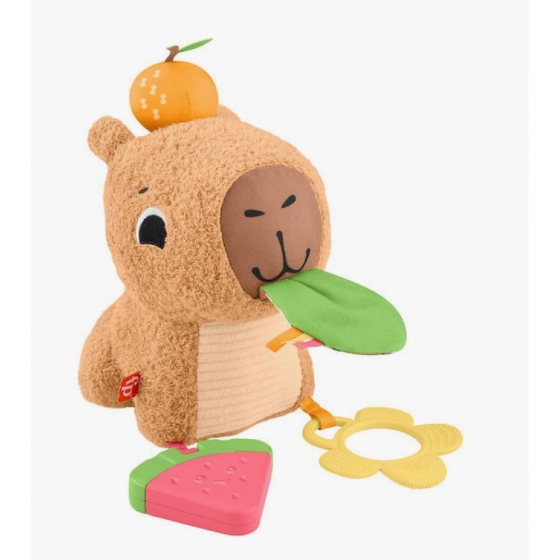 Fisher Price Βρεφικό Παιχνίδι από Ύφασμα με Ήχους για 3+ Μηνών (Διάφορα Σχέδια) 1τμχ Mattel