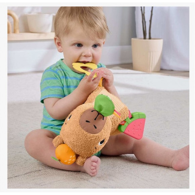 Fisher Price Βρεφικό Παιχνίδι από Ύφασμα με Ήχους για 3+ Μηνών (Διάφορα Σχέδια) 1τμχ Mattel