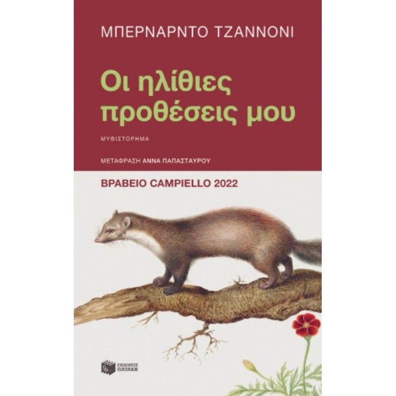 Οι Ηλίθιες Προθέσεις Μου |Bernardo Zannoni 
