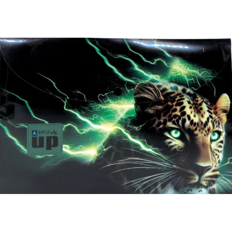 Φάκελος Κουμπί A4 Thunder Cat Back Me Up Gim  