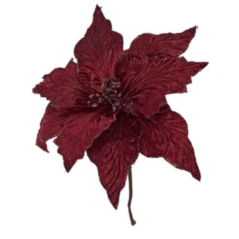 Λουλούδι Αλεξανδρινό Βυσσινί Πικ Epam