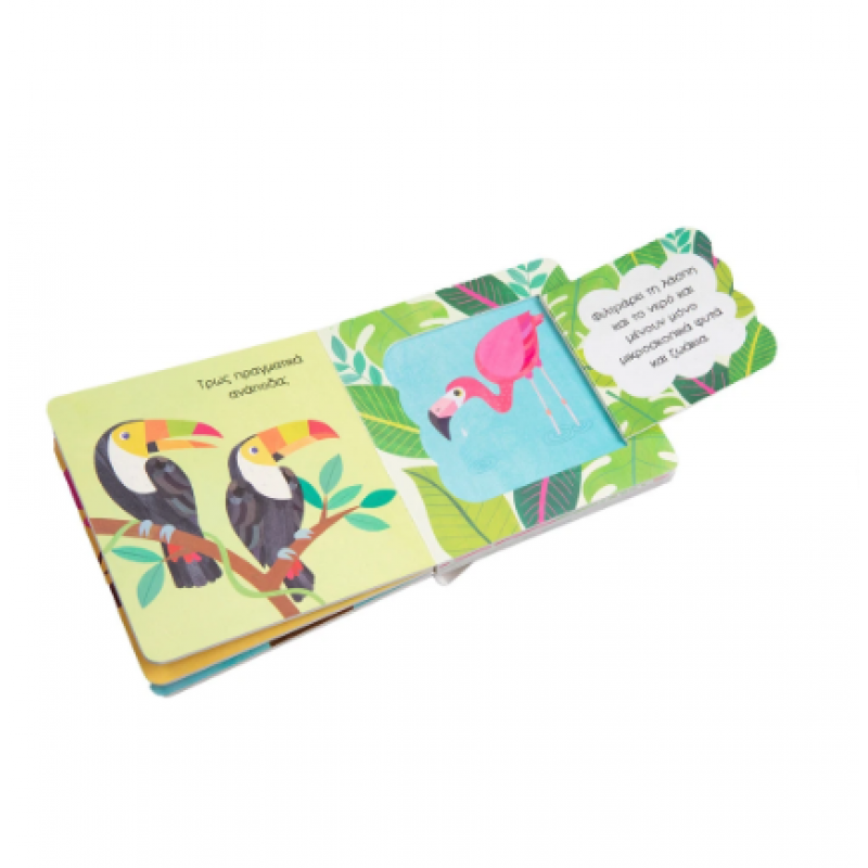 Το Φλαμίνγκο |Παραθυράκια Για Μικρά Χεράκια |Swift Ginger Εκδόσεις Σαββάλας