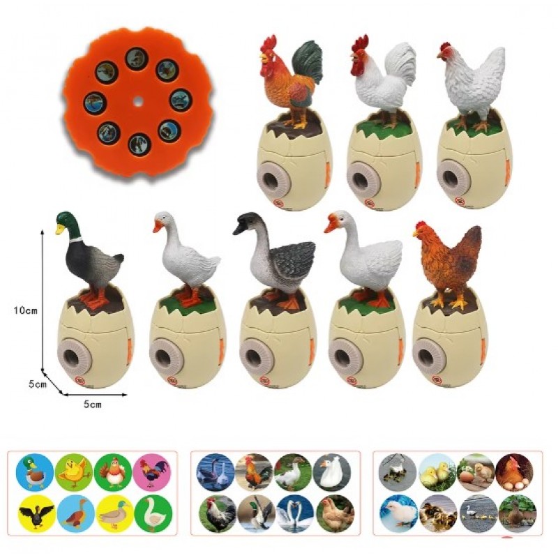 Πουλερικά Με Προτζέκτορα Lazarid