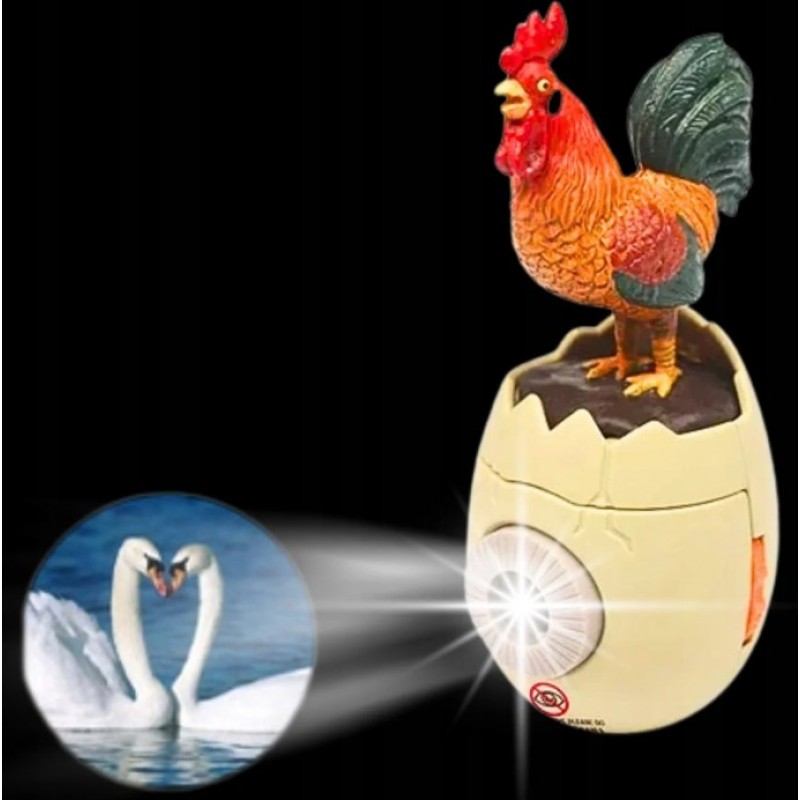 Πουλερικά Με Προτζέκτορα Lazarid