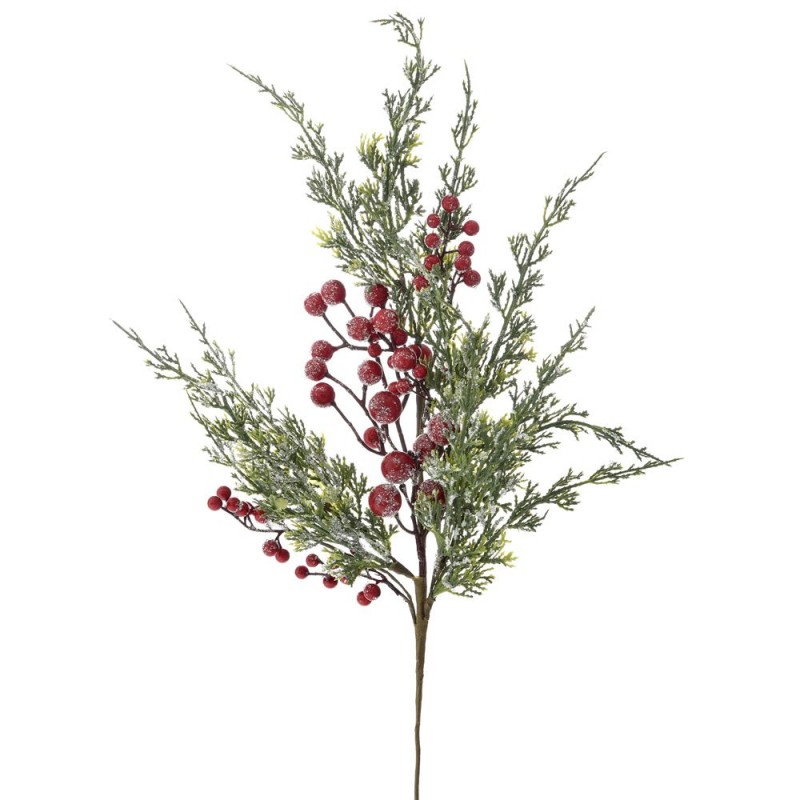 Κλαδί Με Κόκκινα Χιονισμένα Berries Iliadis