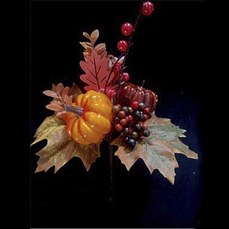 Φθινοπωρινό Πικ Με Κόκκινα Berries Και Κολοκύθα 26Εκ Iliadis