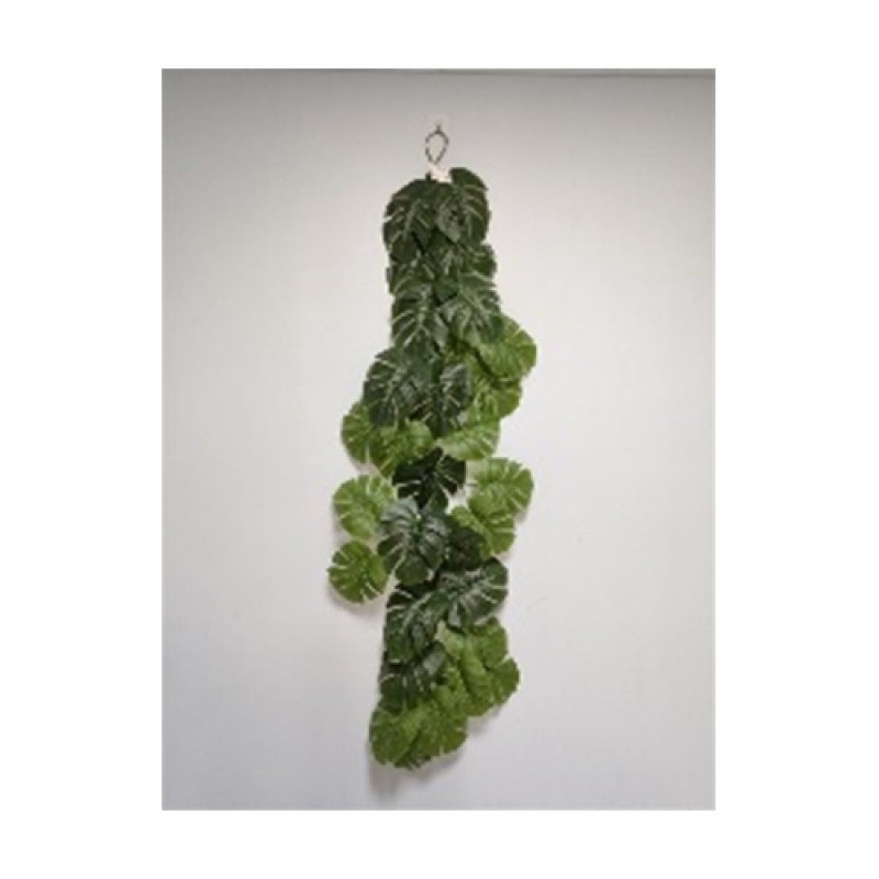 Γιρλάντα Μονστέρα 190Εκ Με Πολύ Μεγάλα Φύλλα 45-50Εκ Πλάτος Iliadis