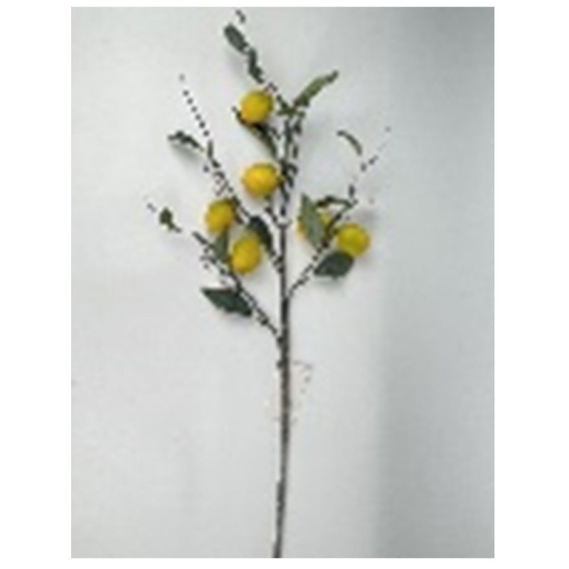 Λεμόνι Κλαδί 25x92Εκ Iliadis