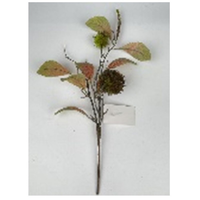 Κλαδί Κάστανο 15x50Εκ Iliadis