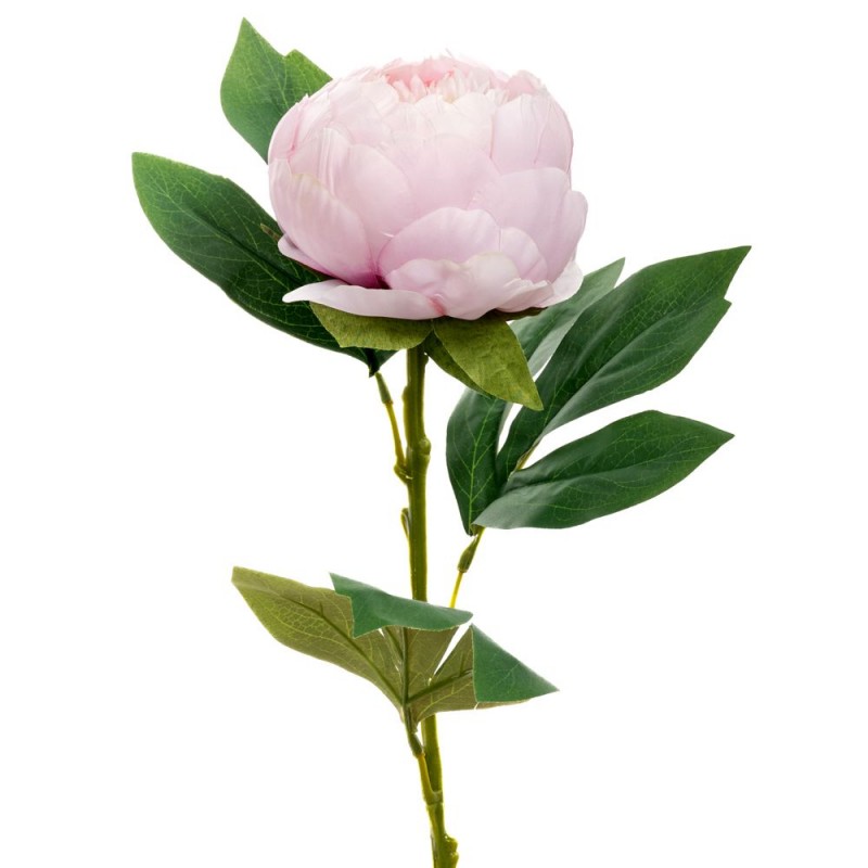 Λιλα Παιωνια Κλαδι  66Εκ