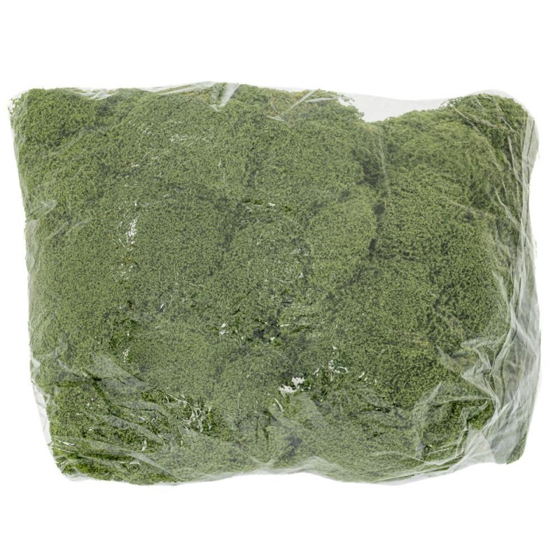 Βρύα Σκούρη Πράσινη Σε Σακουλάκι 500Γρ Iliadis