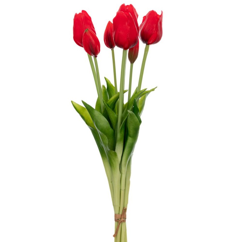 Τουλίπα Χ7 Κόκκινο Μπουκέτο