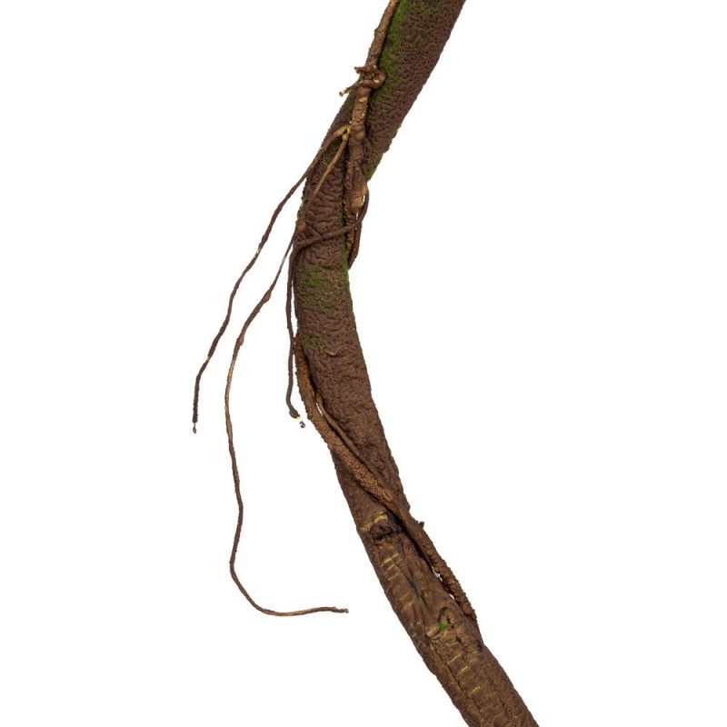 Κλιματσίδα Με Βρύα Καφέ 180Εκ Iliadis