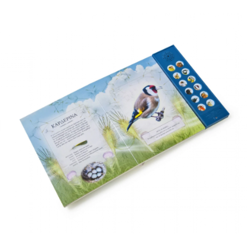 Αληθινοί Ήχοι: Η Χορωδία Της Αυγής Εκδόσεις Σαββάλας