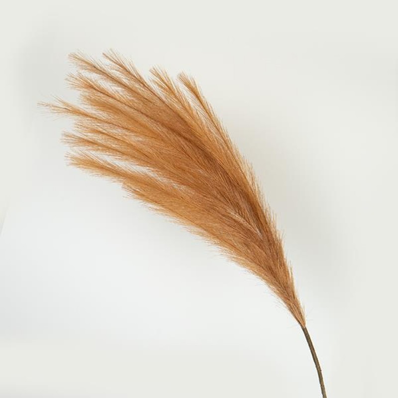 Κλαδί Παμπάς Ανοιχτό Καφέ 112Εκ Estheti