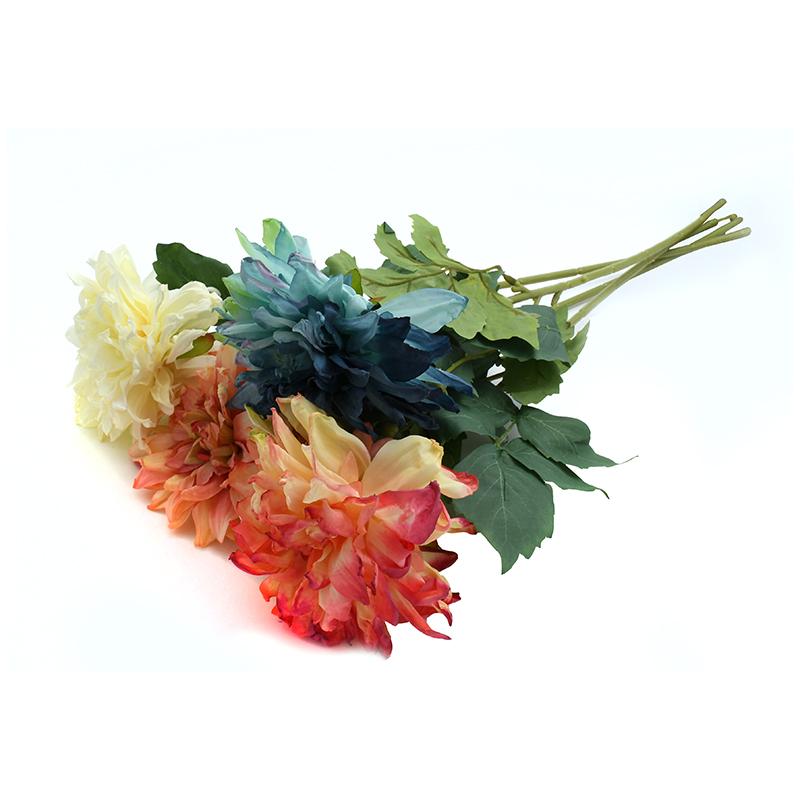 Λουλούδι Fylliana Dahlia 1/4 Λευκό-Μπλε-Πορτοκαλι-Ροζ