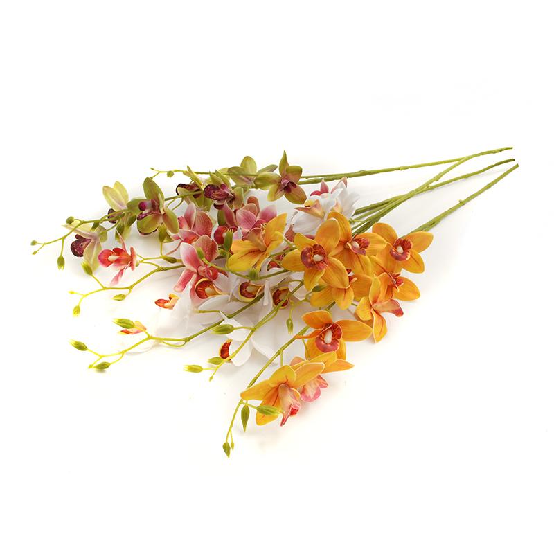 Λουλούδι Fylliana Orchid 1/4 Λευκό Κίτρινο Πράσινο Ροζ