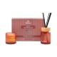 Αρωματικό Σετ Δώρου "apple White Musk " Fylliana Fl25161 Διαχύτης 150ml + Κερί 150g