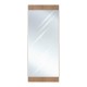 Καθρέπτης Τοίχου Ολόσωμος με Μπεζ Πλαστικό Πλαίσιο 120x47cm Fylliana Alicante