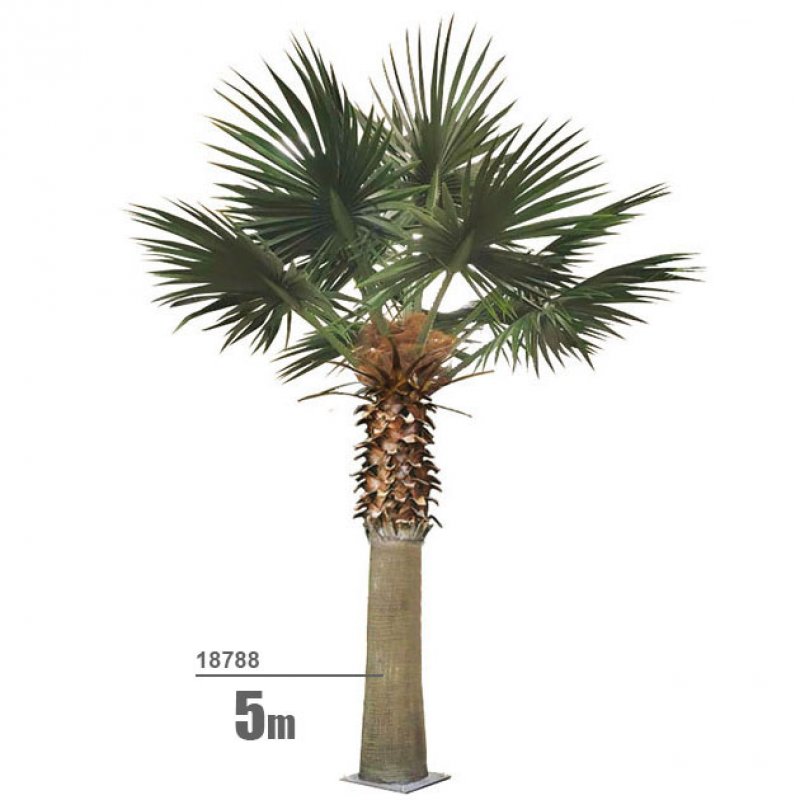 Δέντρο Τεχνητό Φοίνικας "Washington Palm" Ύψος 5 Μέτρα
