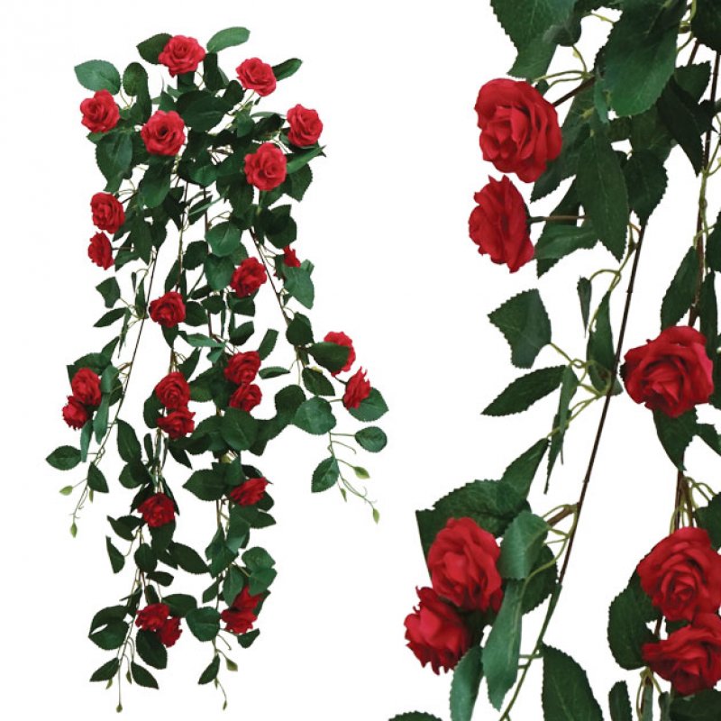 Ρίζα Κρεμαστή Τριανταφυλλιά Κόκκινη Y90εκ