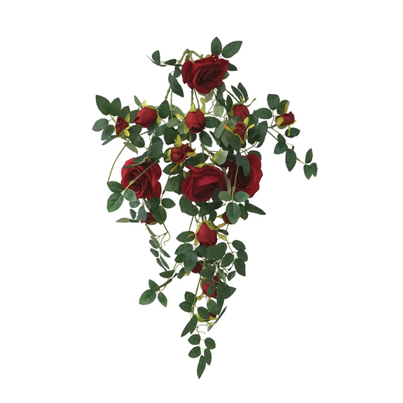 Ρίζα Κρεμαστή Τριανταφυλλιά Κόκκινο Υ70Eκ Marhome