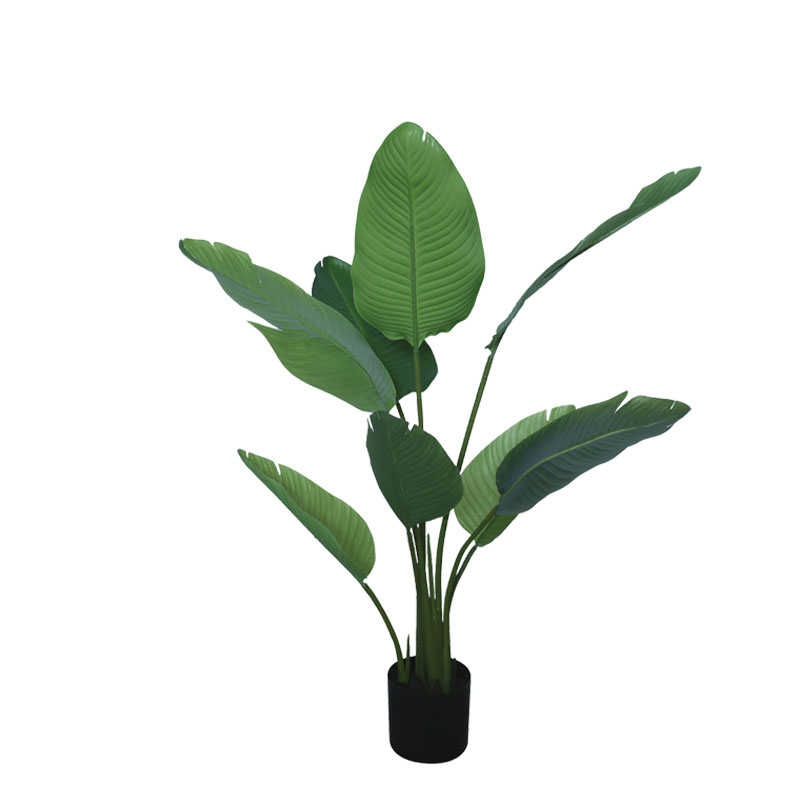 Δέντρο Στρελίτσια Πράσινο Σε Γλάστρα Υ120Εκ Marhome 