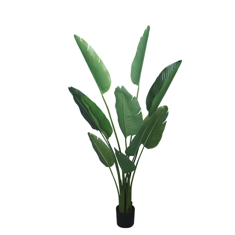 Δέντρο Στρελίτσια Πράσινο Σε Γλάστρα Υ150Εκ Marhome 