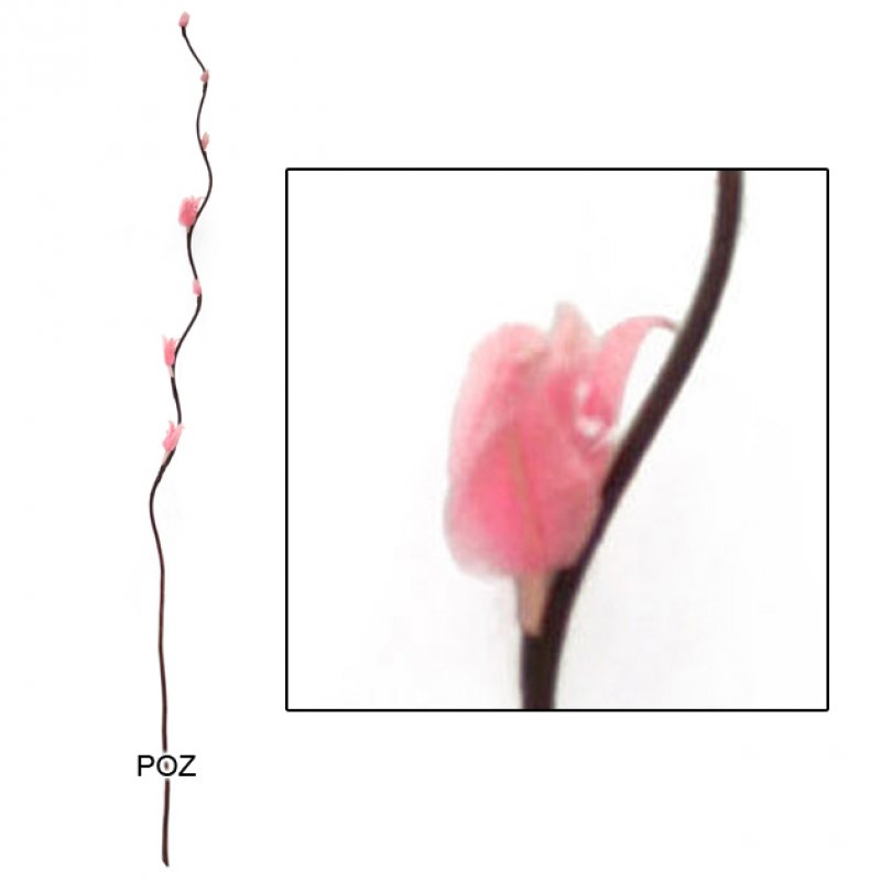 Μάτσο Αποξηραμένο 10Τεμ. Με Άνθη Καφέ/Ροζ Υ160εκ