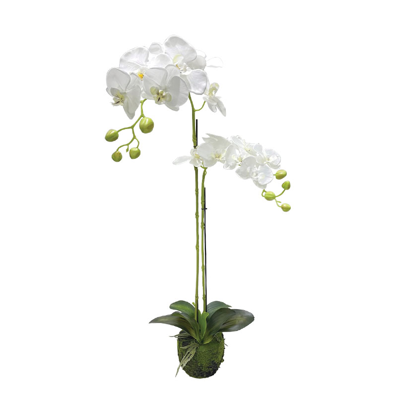 Φυτό Ορχιδέα Λευκά Ανθή Real Touch Υ68Εκ Marhome