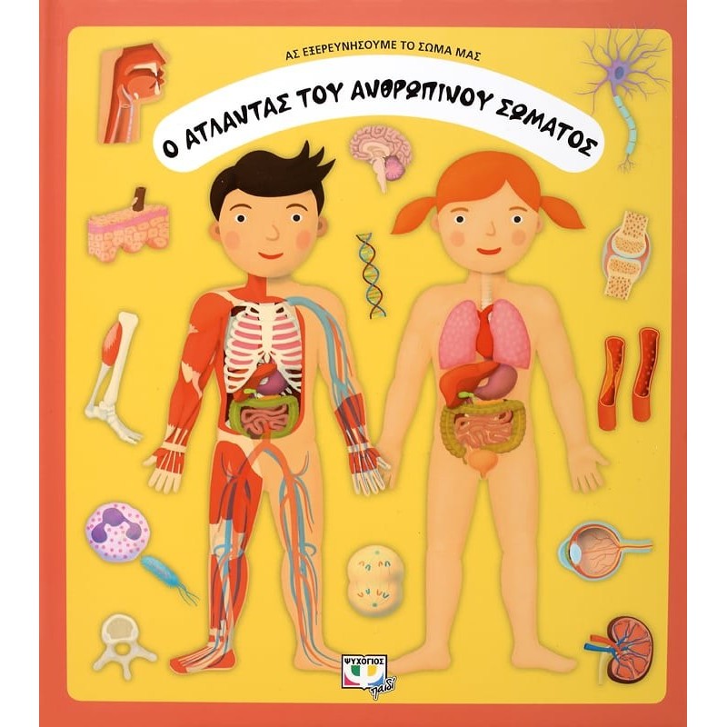 Ο Άτλαντας Του Ανθρωπίνου Σώματος