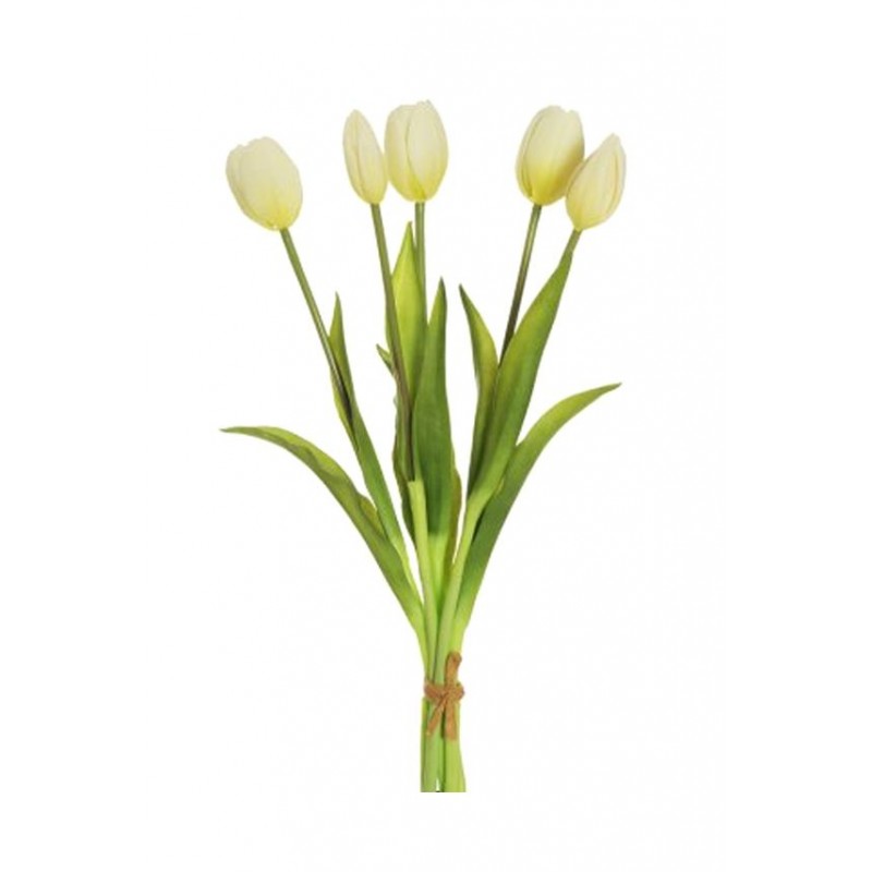Τουλίπα Χ7 Πράσινη Μπουκέτο