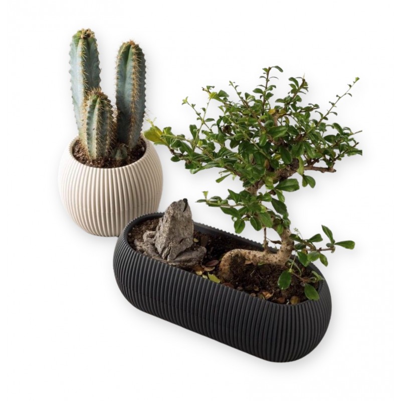 Γλάστρα Για Κάκτο Στρόγγυλη Coral No362 11.8x9.2cm 0.35L Με Πιάτο Viosarp 