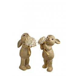 ΠΟΛΥΕΣΤΕΡΙΚΟ ΖΕΥΓΑΡΙ ΛΑΓΟΙ ΜΕ ΜΠΟΥΚΕΤΟ ΛΟΥΛΟΥΔΙΑ (ΤΙΜΗ ΤΕΜΑΧΙΟΥ)  12x6.5x18CM